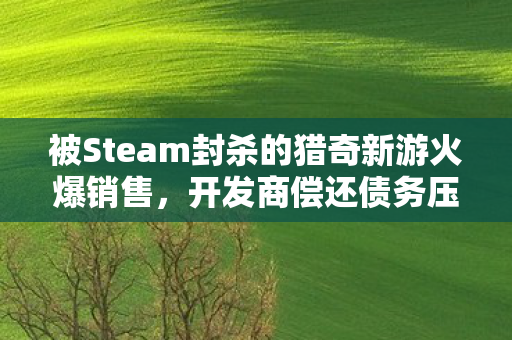 被Steam封杀的猎奇新游火爆销售，开发商偿还债务压力缓解