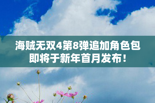 海贼无双4第8弹追加角色包即将于新年首月发布！