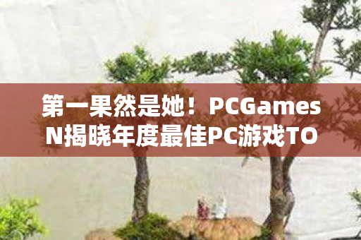 第一果然是她！PCGamesN揭晓年度最佳PC游戏TOP 10榜单