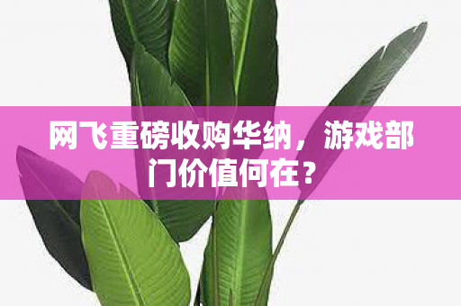网飞重磅收购华纳，游戏部门价值何在？