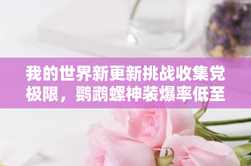 我的世界新更新挑战收集党极限，鹦鹉螺神装爆率低至1%