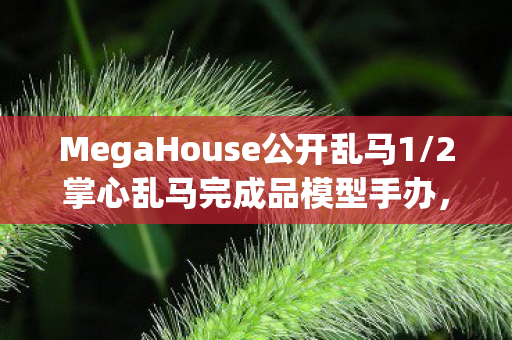 MegaHouse公开乱马1/2掌心乱马完成品模型手办，细节魅力与收藏价值