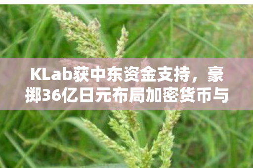 KLab获中东资金支持，豪掷36亿日元布局加密货币与黄金市场