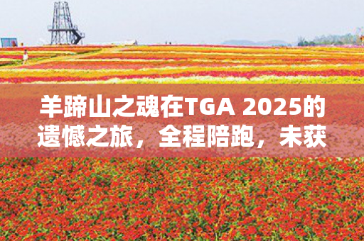 羊蹄山之魂在TGA 2025的遗憾之旅，全程陪跑，未获任何奖项