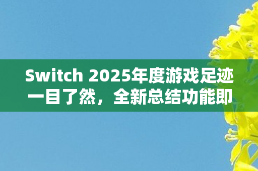 Switch 2025年度游戏足迹一目了然，全新总结功能即将登场