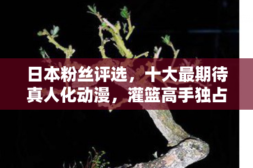 日本粉丝评选，十大最期待真人化动漫，灌篮高手独占鳌头