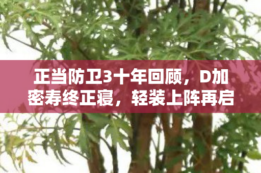 正当防卫3十年回顾，D加密寿终正寝，轻装上阵再启程