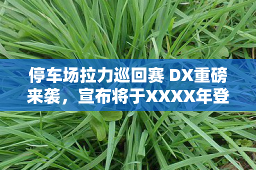 停车场拉力巡回赛 DX重磅来袭，宣布将于XXXX年登陆Steam与主机平台