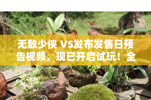 无敌少侠 VS发布发售日预告视频，现已开启试玩！全新冒险即将开启！