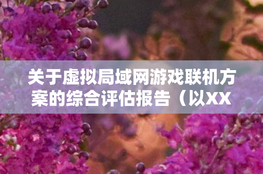 关于虚拟局域网游戏联机方案的综合评估报告（以XXXX年为例）