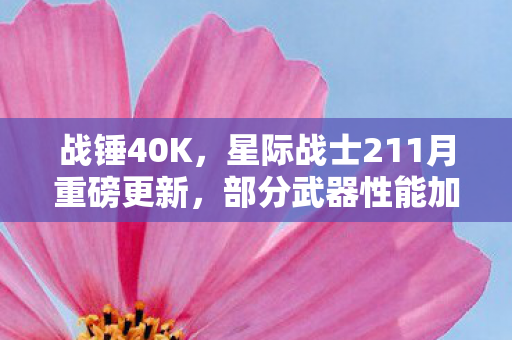 战锤40K，星际战士211月重磅更新，部分武器性能加强，星际战斗体验再升级