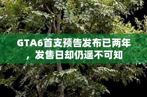 GTA6首支预告发布已两年，发售日却仍遥不可知