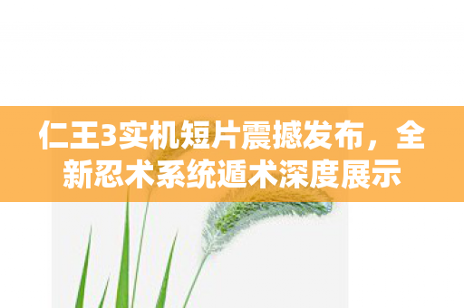 仁王3实机短片震撼发布，全新忍术系统遁术深度展示