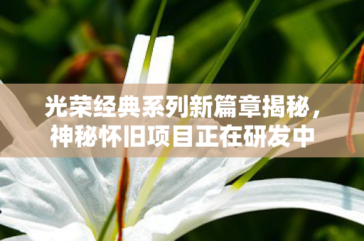 光荣经典系列新篇章揭秘，神秘怀旧项目正在研发中