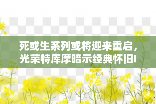 死或生系列或将迎来重启，光荣特库摩暗示经典怀旧IP即将归来