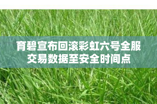 育碧宣布回滚彩虹六号全服交易数据至安全时间点