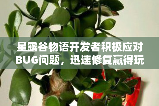 星露谷物语开发者积极应对BUG问题，迅速修复赢得玩家热烈支持