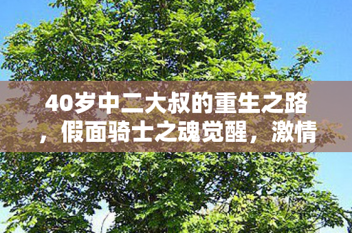 40岁中二大叔的重生之路，假面骑士之魂觉醒，激情燃烧