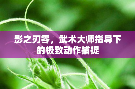 影之刃零，武术大师指导下的极致动作捕捉
