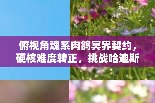 俯视角魂系肉鸽冥界契约，硬核难度转正，挑战哈迪斯之路