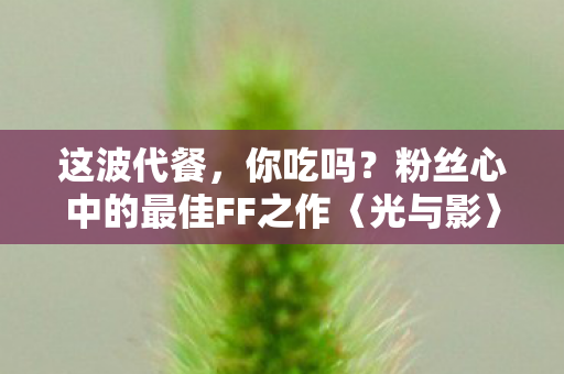 这波代餐，你吃吗？粉丝心中的最佳FF之作〈光与影〉