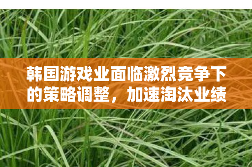 韩国游戏业面临激烈竞争下的策略调整，加速淘汰业绩不佳游戏