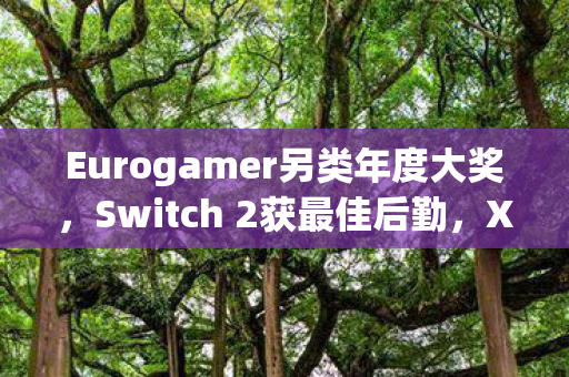 Eurogamer另类年度大奖，Switch 2获最佳后勤，Xbox意外背锅