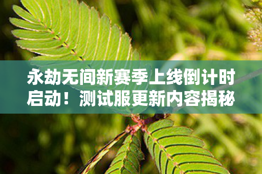 永劫无间新赛季上线倒计时启动！测试服更新内容揭秘