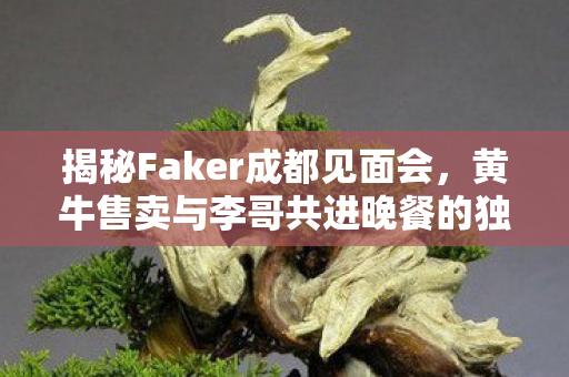 揭秘Faker成都见面会，黄牛售卖与李哥共进晚餐的独特门票