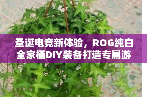 圣诞电竞新体验，ROG纯白全家桶DIY装备打造专属游戏空间