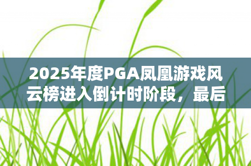 2025年度PGA凤凰游戏风云榜进入倒计时阶段，最后七天冲刺，投票赢取NS2大奖！