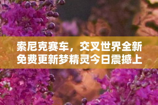 索尼克赛车，交叉世界全新免费更新梦精灵今日震撼上线！