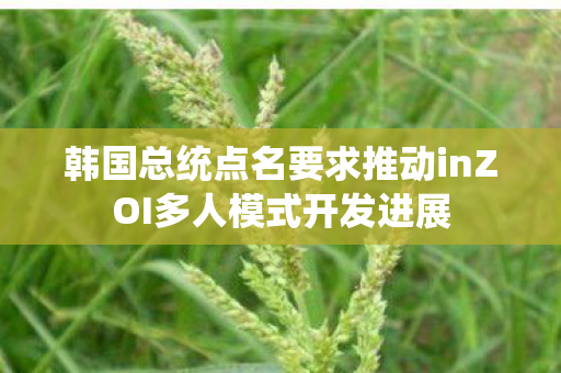 韩国总统点名要求推动inZOI多人模式开发进展