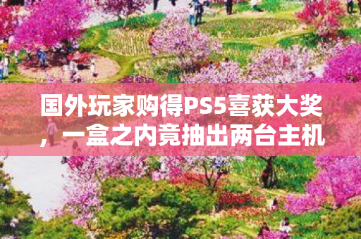 国外玩家购得PS5喜获大奖，一盒之内竟抽出两台主机！