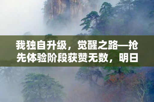 我独自升级，觉醒之路—抢先体验阶段获赞无数，明日正式登陆游戏界