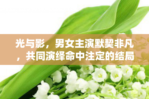 光与影，男女主演默契非凡，共同演绎命中注定的结局