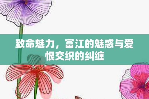 致命魅力，富江的魅惑与爱恨交织的纠缠