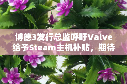 博德3发行总监呼吁Valve给予Steam主机补贴，期待为玩家带来更多价值