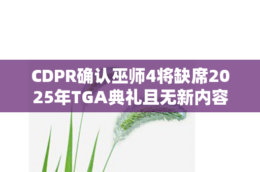 CDPR确认巫师4将缺席2025年TGA典礼且无新内容展示