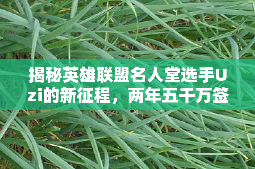 揭秘英雄联盟名人堂选手Uzi的新征程，两年五千万签约传闻！