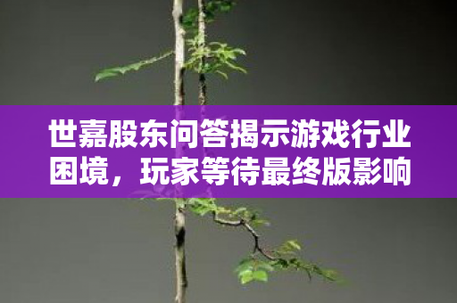 世嘉股东问答揭示游戏行业困境，玩家等待最终版影响销量展望