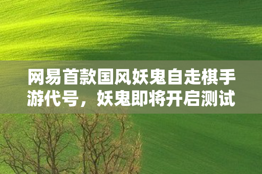网易首款国风妖鬼自走棋手游代号，妖鬼即将开启测试阶段！