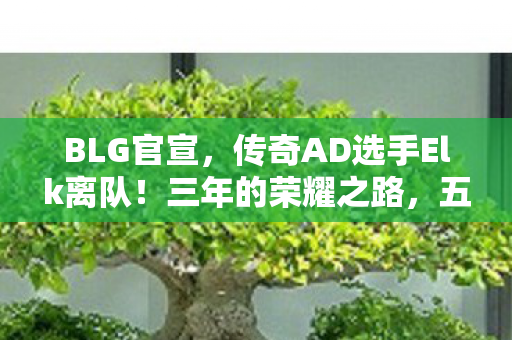 BLG官宣，传奇AD选手Elk离队！三年的荣耀之路，五百场战斗与两千五百次击杀的辉煌历程