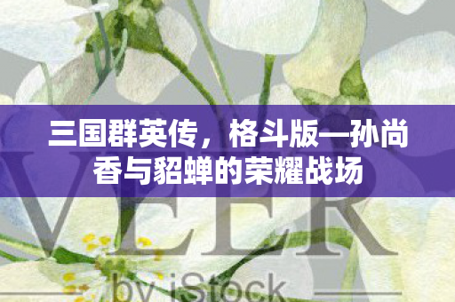 三国群英传，格斗版—孙尚香与貂蝉的荣耀战场