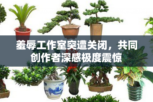 羞辱工作室突遭关闭，共同创作者深感极度震惊