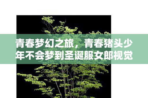 青春梦幻之旅，青春猪头少年不会梦到圣诞服女郎视觉图惊艳释出