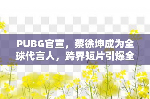 PUBG官宣，蔡徐坤成为全球代言人，跨界短片引爆全网