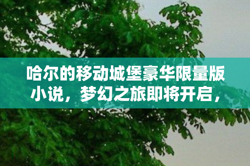 哈尔的移动城堡豪华限量版小说，梦幻之旅即将开启，仅售23美元