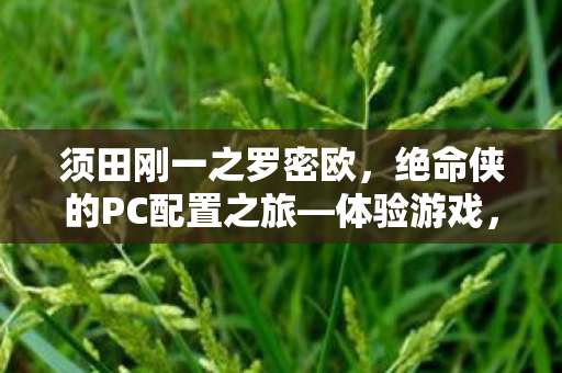 须田刚一之罗密欧，绝命侠的PC配置之旅—体验游戏，GTX 1060轻松驾驭！