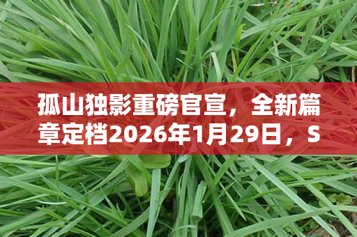 孤山独影重磅官宣，全新篇章定档2026年1月29日，Steam与PS5双平台隆重登陆！